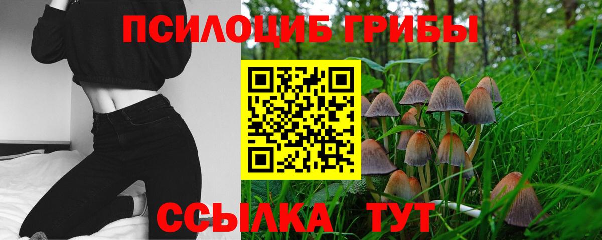 Зеленогорск  Псилоцибиновые грибы GOLDEN TEACHER  Вход с VPN 